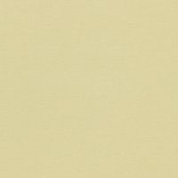 Обои Sanderson Painter's Garden арт-DAPGLD106 — фото 1, Обои