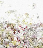 Обои Black Edition Desire by Jessica Zoob арт-W385-01 — фото 1, Обои