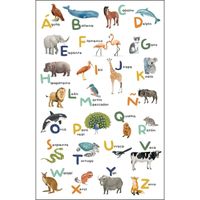 Обои Caselio Les Mini Mondes арт-105863403 — фото 1, Обои для стен