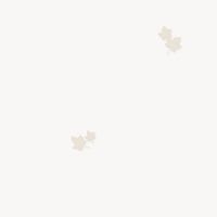 Обои Andrea Rossi Spectrum Pro Винил на флизелине (1,06*10) Бежевый/Белый, Листья арт-54384-1 — фото 1, Обои