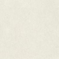 Обои RASCH Raymond Винил на флизелине (1,06*10,05) Бежевый, Штукатурка арт-957327 — фото 1, Обои