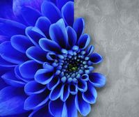 Товар: Обои 30 33172 Vision арт. арт-Z76049 - фото 4 Обои 30 33172 Vision арт. арт-Z76049 — фото 4, Обои