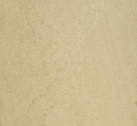 Обои Arlin Cannella арт-6CN-O — фото 1, Обои