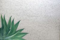 Обои Carl Robinson Edition 20 арт-CL50019 — фото 2, Обои