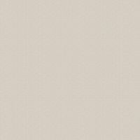 Обои 30 32993 Philipp Plein арт. арт-Z80059 — фото 1, Обои