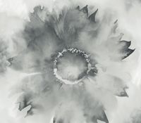 Товар: Обои KT-Exclusive L Atelier de Paris арт-AH40500 - фото 1 Обои KT-Exclusive L Atelier de Paris арт-AH40500 — фото 1, Обои