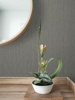 Обои Casa Mia Modern Living арт-WF40100 — фото 2, Обои