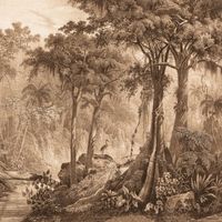 Обои Rasch Curiosity арт-543773 — фото 1, Обои