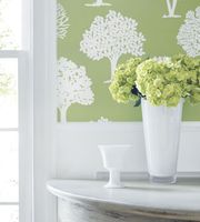 Обои Thibaut Graphic Resource арт-839-T-35107 — фото 2, Обои