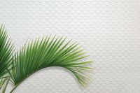 Товар: Обои Carl Robinson Edition 20 арт-CL50049 - фото 2 Обои Carl Robinson Edition 20 арт-CL50049 — фото 2, Обои