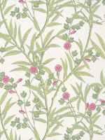 Обои Little Greene National Trust Papers 4 арт-0267BAMISCH — фото 1, Обои