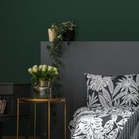 Обои Aura Lost Island арт-106414 — фото 2, Обои