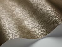 Обои Cole & Son Curio арт-107-6028 — фото 3, Обои