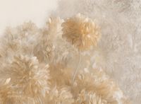 Фрески Applico Three арт-0031-BR1 — фото 2, Фрески