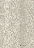 Обои Carlucci di Chivasso Curious арт-CA9092-070 — фото 1, Обои