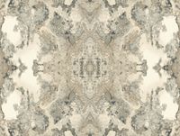 Обои York Candiсe Olson Botanical Dreams арт-NA0593 — фото 1, Обои