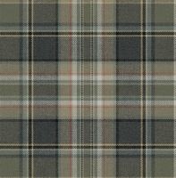 Обои Carl Robinson Edition 21 The Gentleman арт-CL71208 — фото 1, Обои