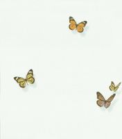 Обои Andrea Rossi Spectrum max Винил на флизелине (1,06*10) Желтый/Оранжевый, Бабочки арт-54363-4 — фото 1, Обои для стен