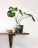 Обои Aura Living@Home арт-491537 — фото 3, Обои