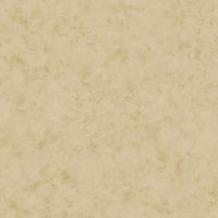 Обои Antonina Vella Kashmir арт-BH8348 — фото 1, Обои