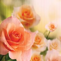 Обои Loymina Illusion vol. II арт-DFL002 — фото 1, Обои для стен