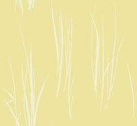 Обои Paper & Ink Coastal Chic арт-CO10803 — фото 1, Обои