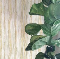 Обои Wiganford by Solo Lunman Винил на флизелине (1,06*10,05) Бежевый/Серый/Золото, Под дерево арт-ER8610 — фото 2, Обои