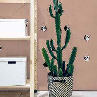 Обои Coordonne Instant арт-8500053 — фото 2, Обои