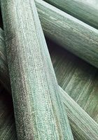 Обои Thibaut Grasscloth Resource 5 арт-T24054 — фото 4, Обои