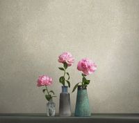 Обои Loymina Materials Terra арт-TER3-009 — фото 3, Обои