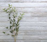 Обои Carl Robinson Edition 20 арт-CL50012 — фото 2, Обои