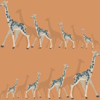 Обои York Dwell Studio Baby + Kids арт-DW2363 — фото 1, Обои