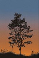 Обои Wallquest Trees арт-TR71905M — фото 1, Обои