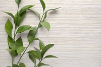 Обои Carl Robinson Edition 20 арт-CL50042 — фото 2, Обои