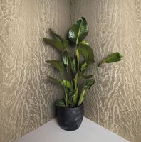 Обои Marburg Eclectic арт-34922 — фото 3, Обои