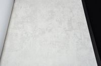 Обои Bruno Zoff Silver Фольга на флизелине (1,06*10,05) Белый, Штукатурка арт-60119-1 — фото 2, Обои
