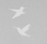 Обои Bernardo Bartalucci Legend Флизелин (1,06*10) Серый, Птицы арт-5071-5 — фото 1, Обои