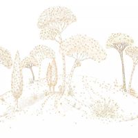 Обои Caselio Color Box 3 арт-3105880106 — фото 1, Обои для стен