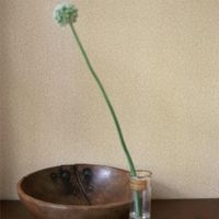 Обои Morris&Co Compilation Wallpaper арт-216833 — фото 2, Обои