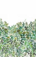 Обои Caselio Green Life 2 арт-105410404 — фото 1, Обои