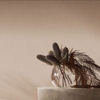 Обои Loymina Materials Textile арт-TXL3-002-1 — фото 4, Обои