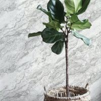 Обои Wiganford by Solo Lunman Винил на флизелине (1,06*10,05) Бежевый, Мрамор арт-ER16011 — фото 2, Обои