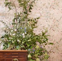 Обои Sanderson Disney Home X арт-217279 — фото 2, Обои