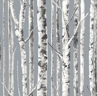 Обои Mayflower Solaris арт-WMAFJ080114 — фото 1, Обои