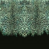 Обои Roberto Cavalli Home 8 арт-RC19114 — фото 1, Обои