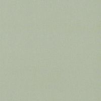 Обои Andrea Rossi Spectrum max Винил на флизелине (1,06*10) Зеленый, Однотонные арт-54359-8 — фото 1, Обои для стен