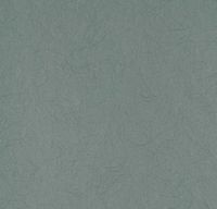 Обои Bernardo Bartalucci Legend Флизелин (1,06*10) Зеленый, Однотонные арт-5068-49 — фото 1, Обои