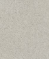 Обои Rasch Concrete арт-520859 — фото 1, Обои