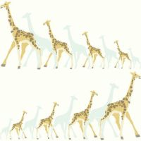 Обои York Dwell Studio Baby + Kids арт-DW2360 — фото 1, Обои