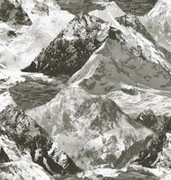 Товар: Обои Ada Wall Anka арт-1622-3 - фото 1 Обои Ada Wall Anka арт-1622-3 — фото 1, Обои